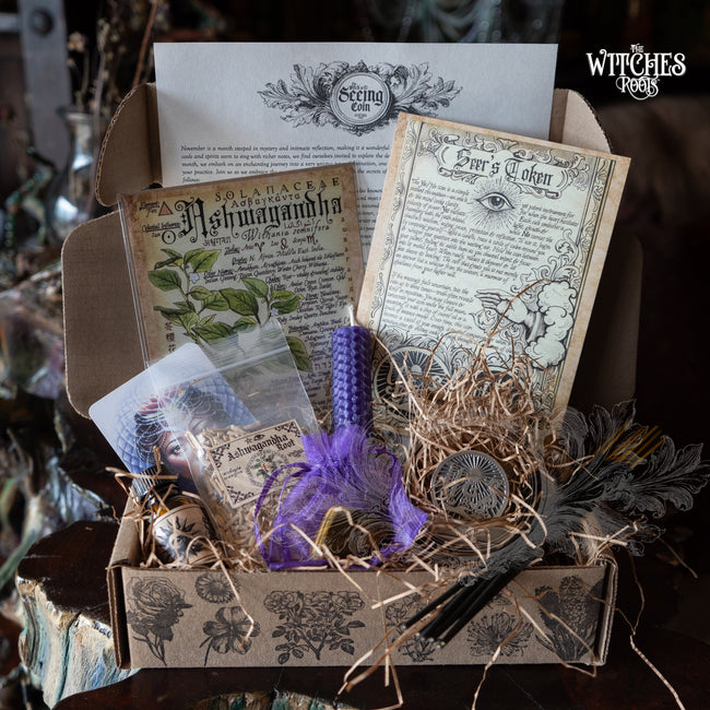 The Witches Roots™ ~ The Witch's Seeing Coin ~ November 2025