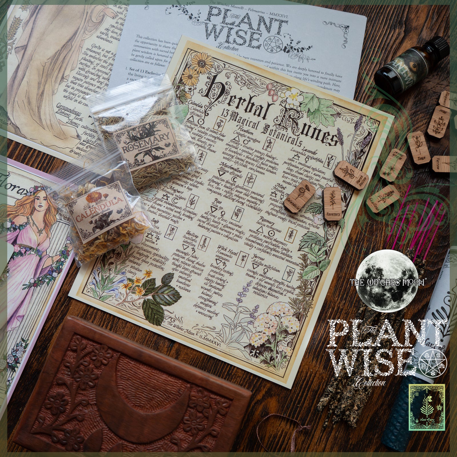 The Witches Moon® - The Exclusive Plant Wise Collection - February 2026