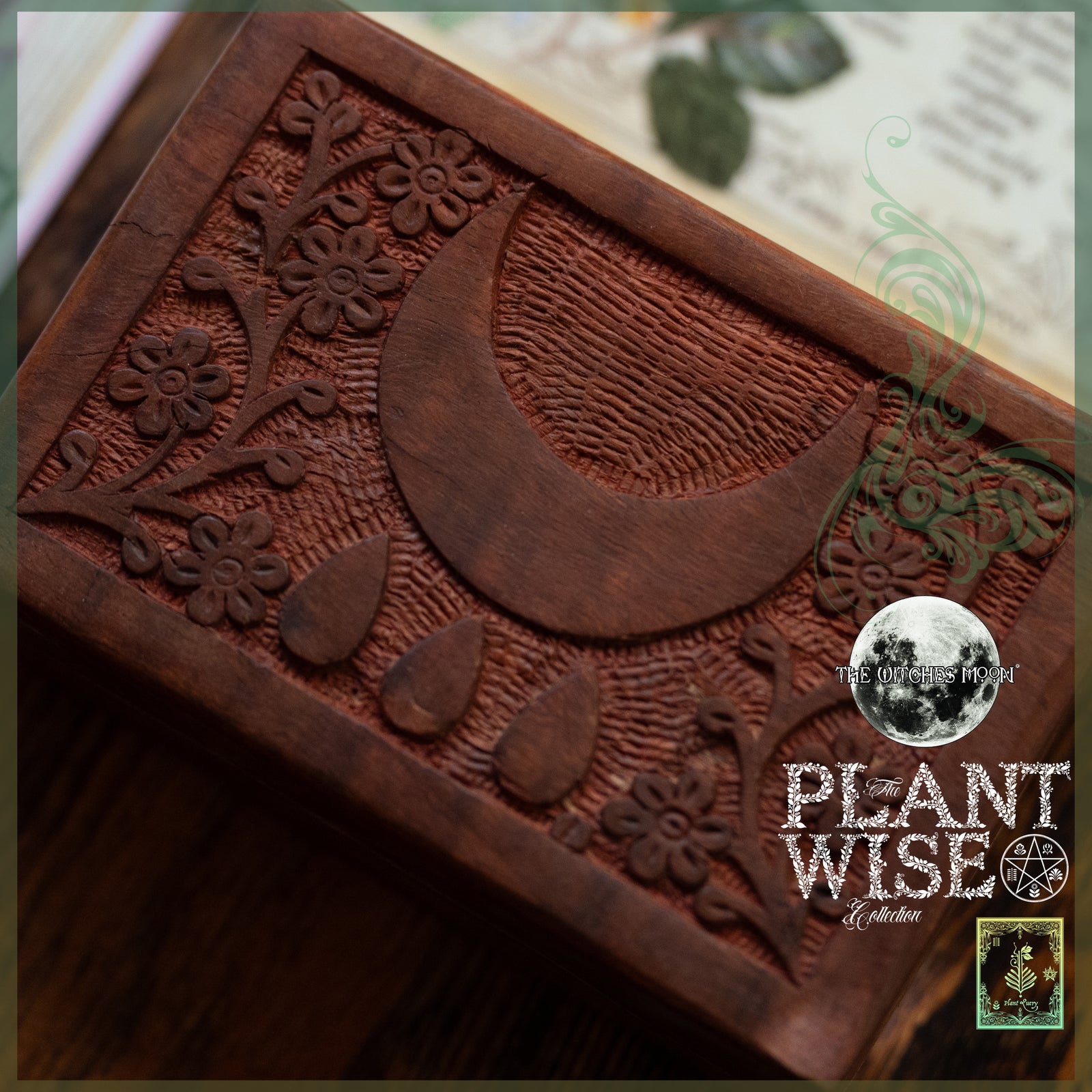 The Witches Moon® - The Exclusive Plant Wise Collection - February 2026