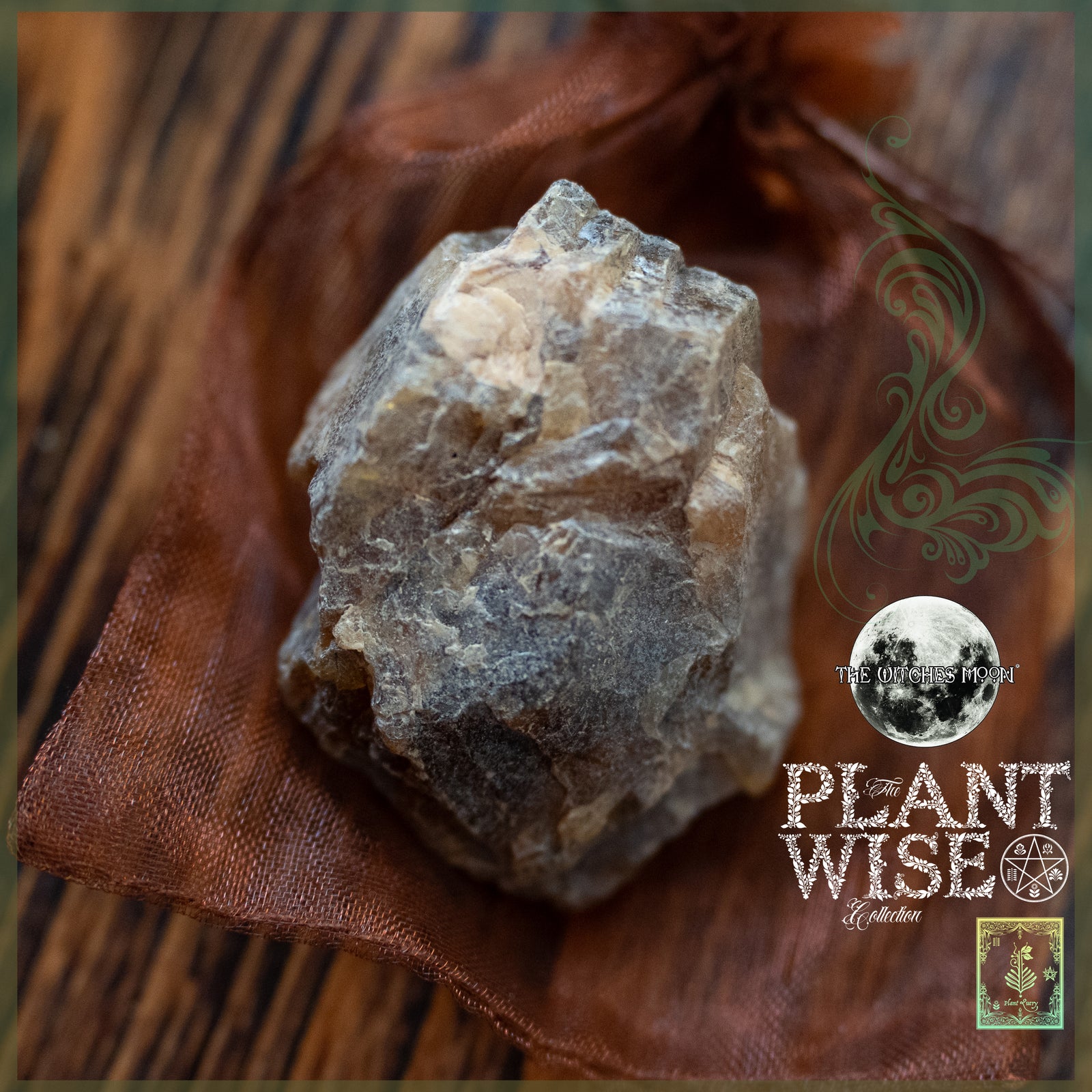 The Witches Moon® - The Exclusive Plant Wise Collection - February 2026