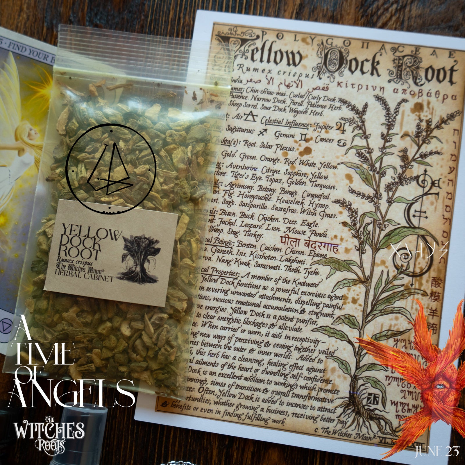 The Witches Roots™ - A Time of Angels - June 2023 (Limited)