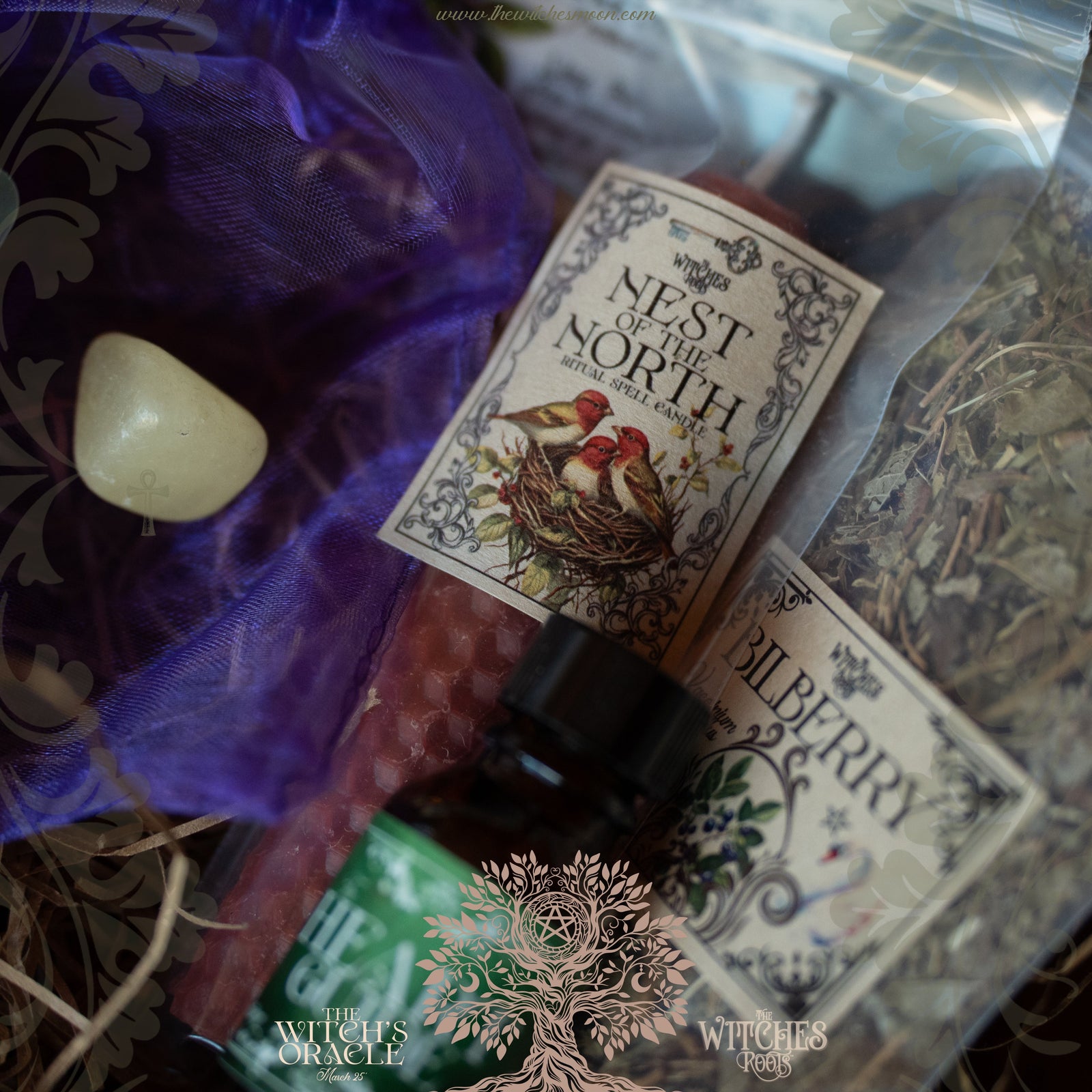 (Limited) The Witches Roots™ ~ The Witch's Oracle ~ March 2025