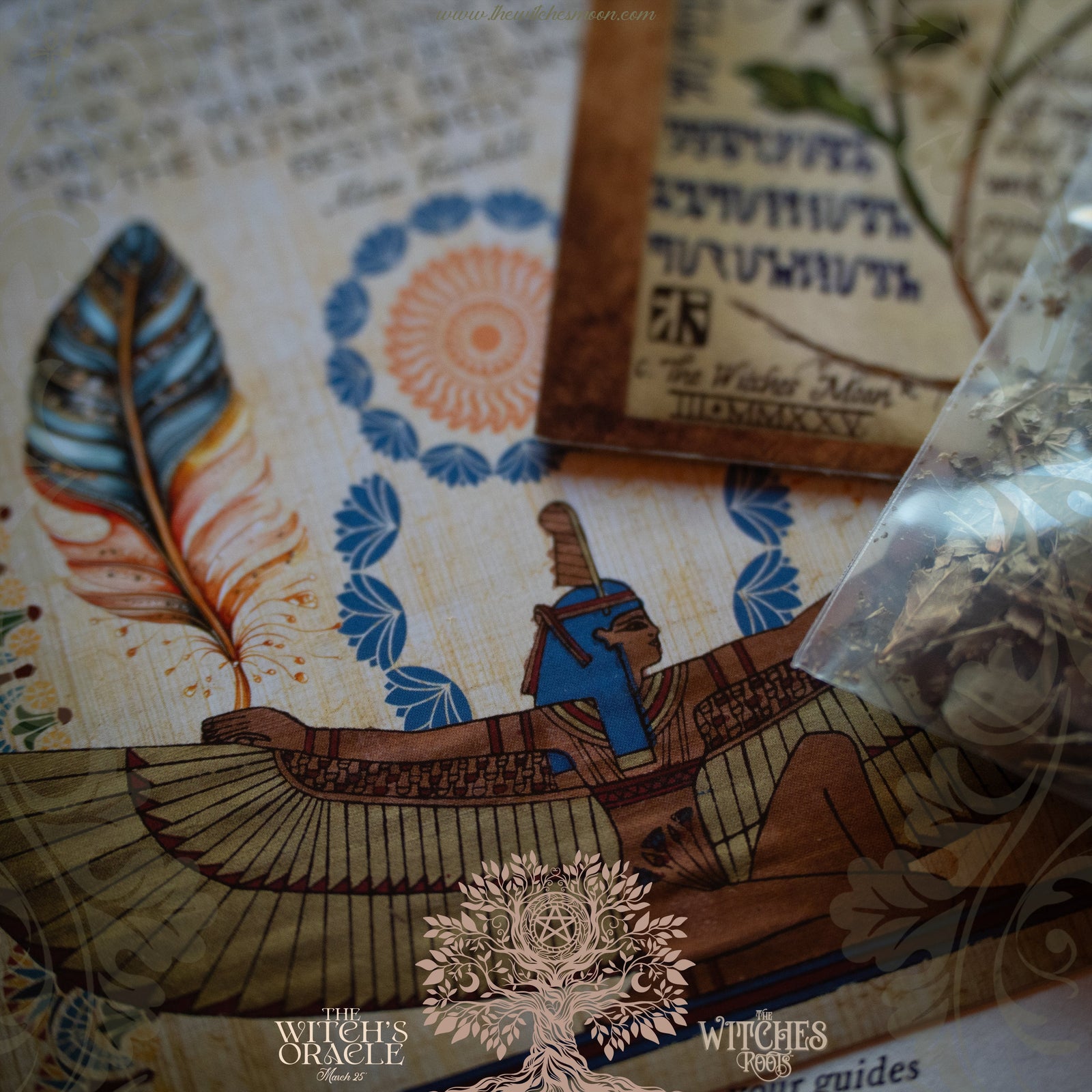 (Limited) The Witches Roots™ ~ The Witch's Oracle ~ March 2025