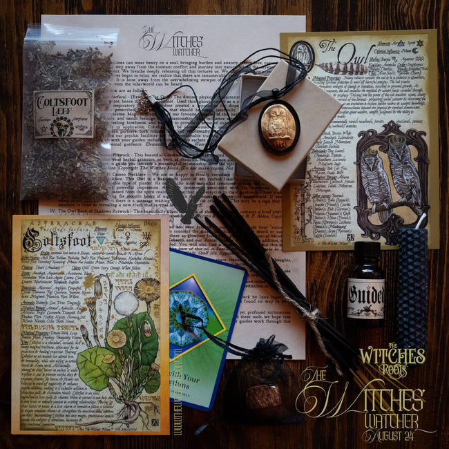 (Limited) The Witches Roots™ ~ The Witches' Watcher ~ August 2024