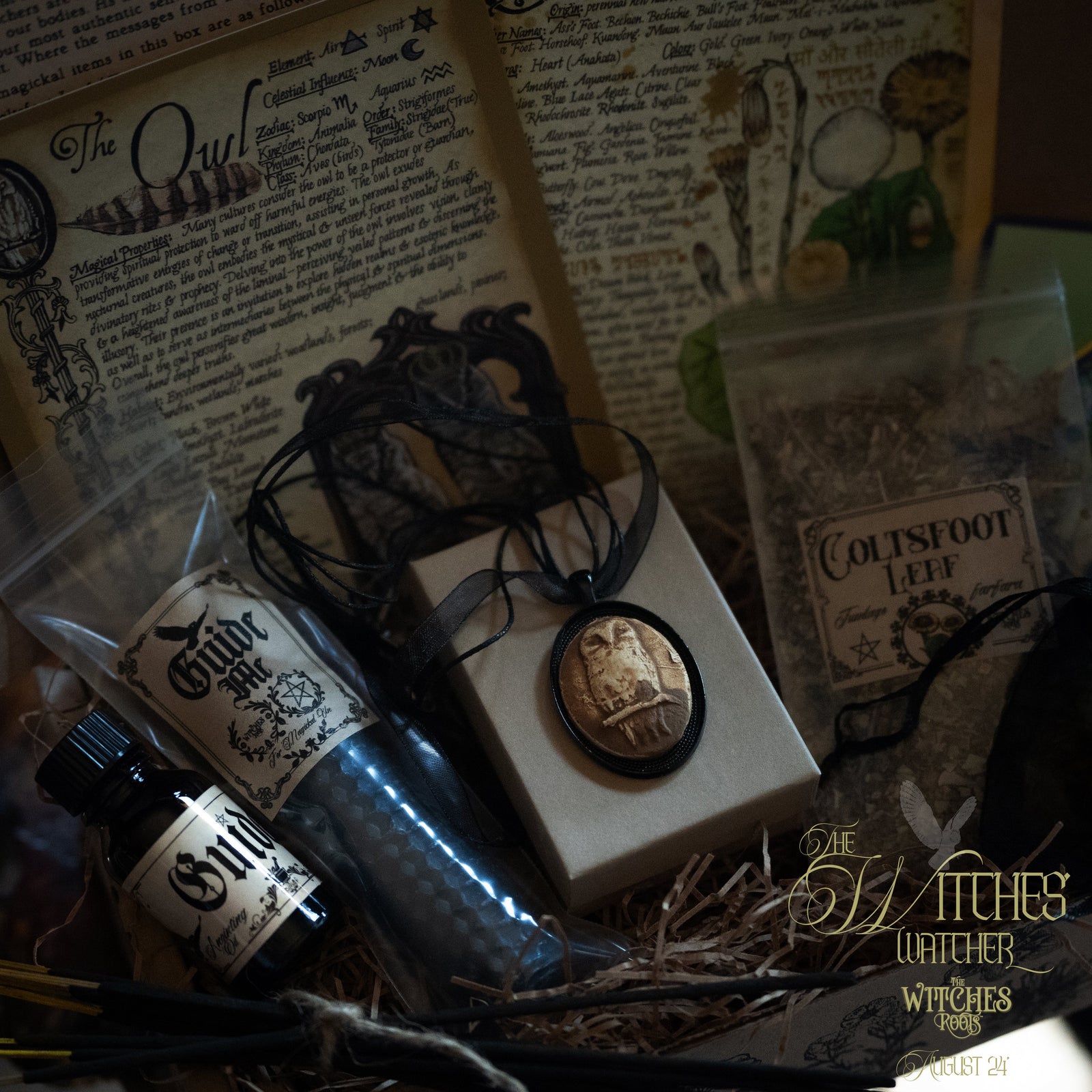 (Limited) The Witches Roots™ ~ The Witches' Watcher ~ August 2024