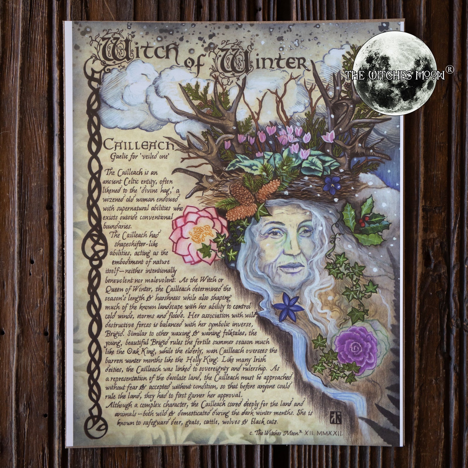 Witch of Winter Book of Shadows Artwork