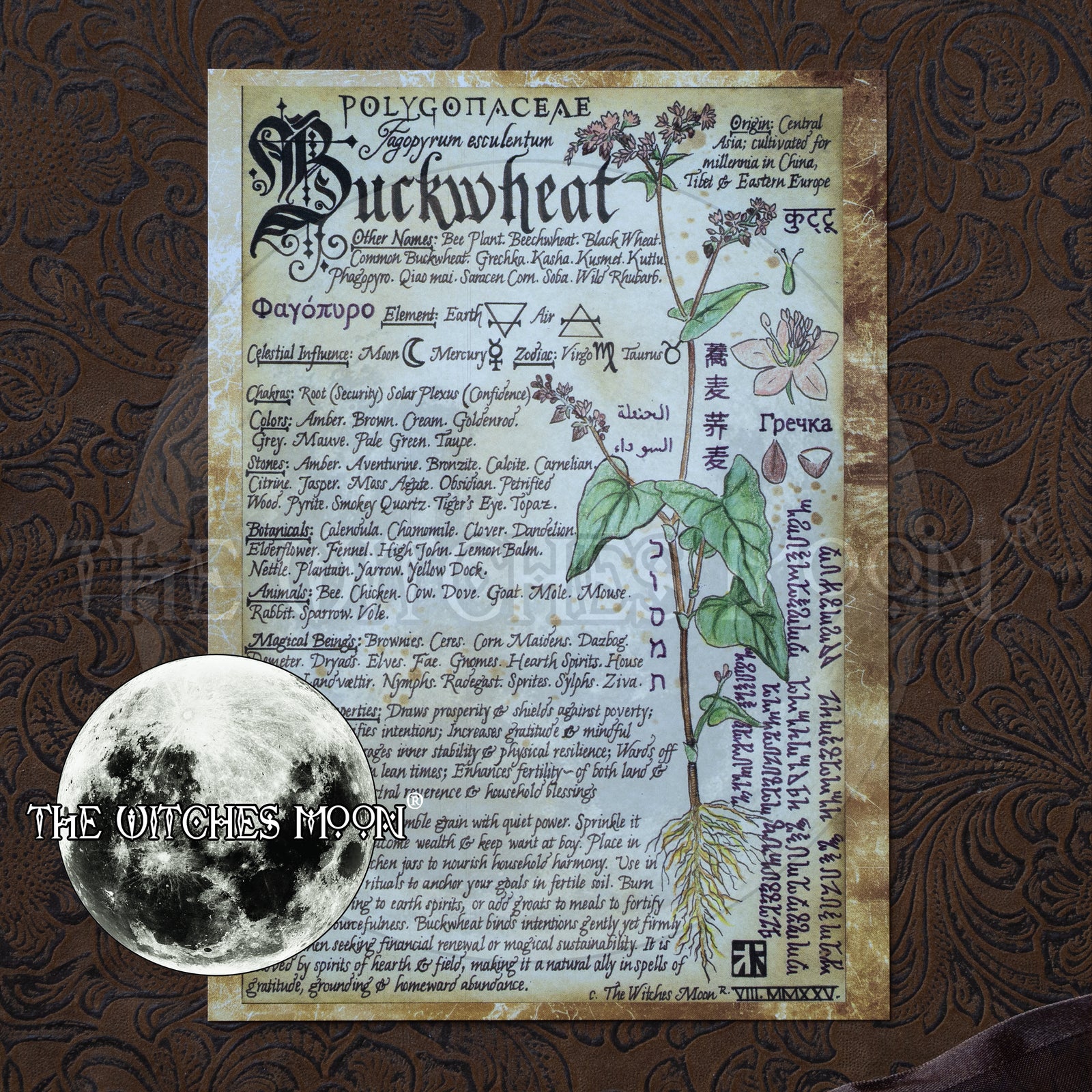 Buckwheat Book of Shadows Artwork