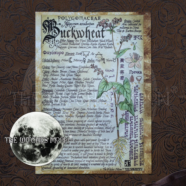 Buckwheat Book of Shadows Artwork