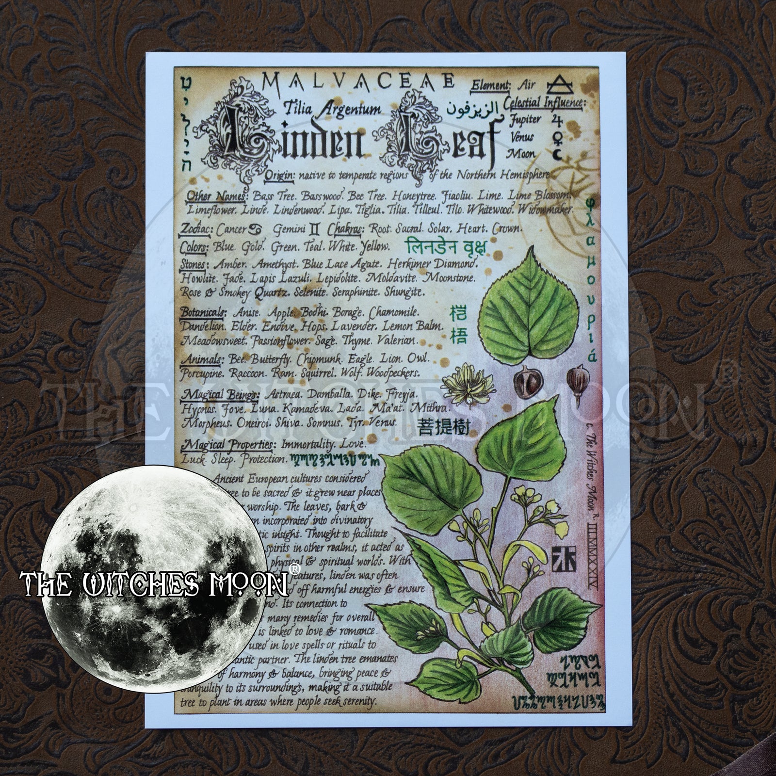 Linden Leaf Book of Shadows Artwork