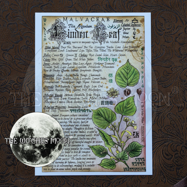 Linden Leaf Book of Shadows Artwork