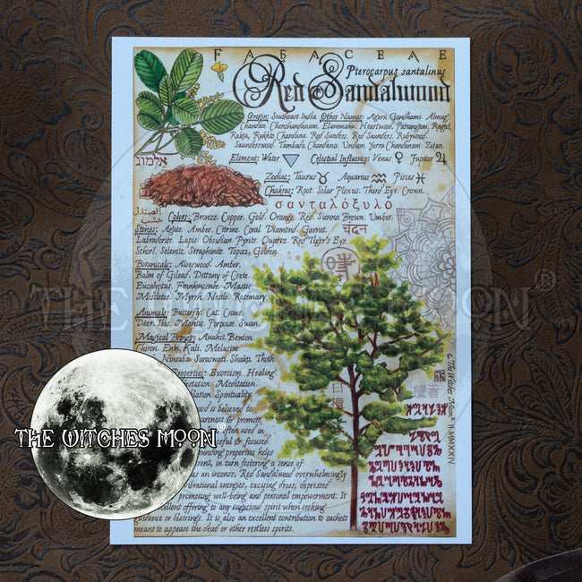 Red Sandalwood Book of Shadows Artwork