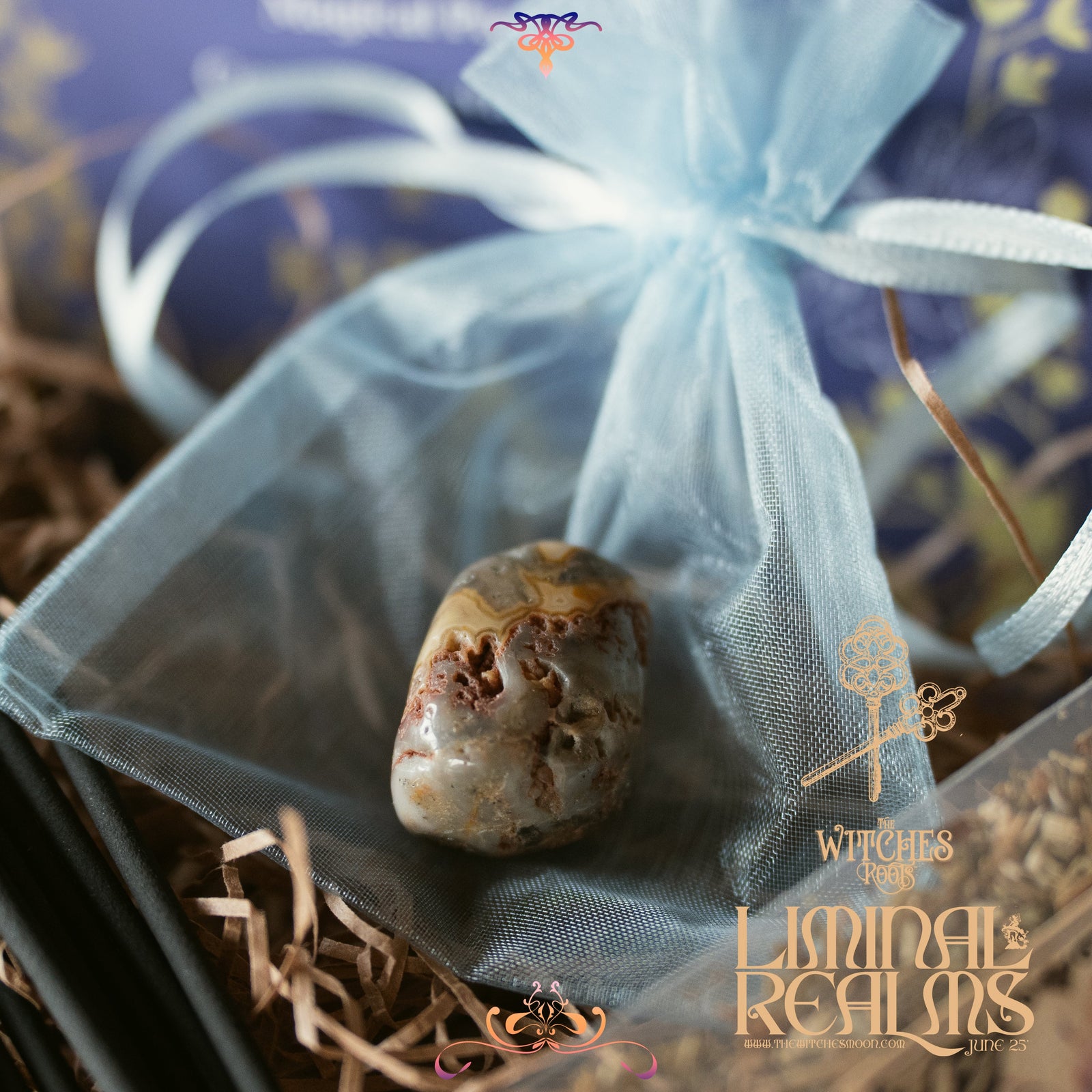 (Limited) The Witches Roots™ - Liminal Realms - June 2025