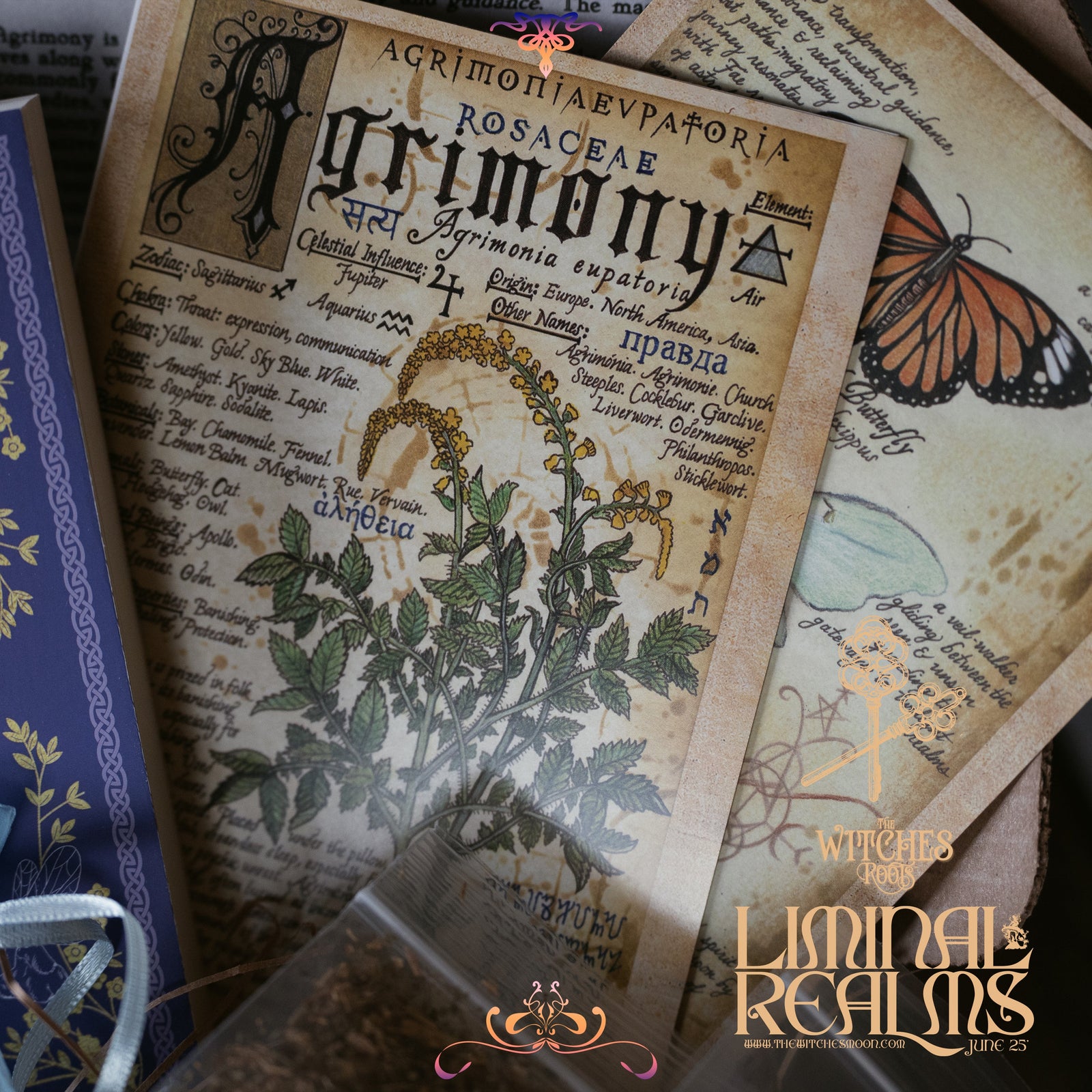 (Limited) The Witches Roots™ - Liminal Realms - June 2025