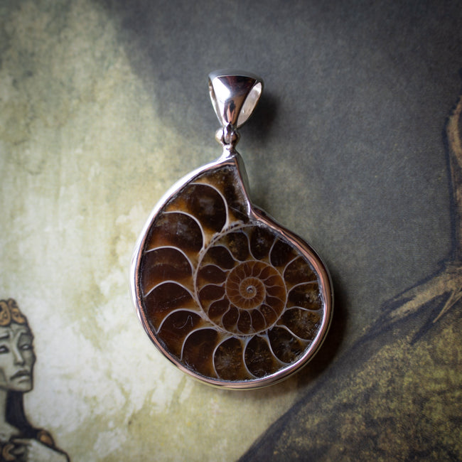 Ammonite Pendant (.925 Silver)