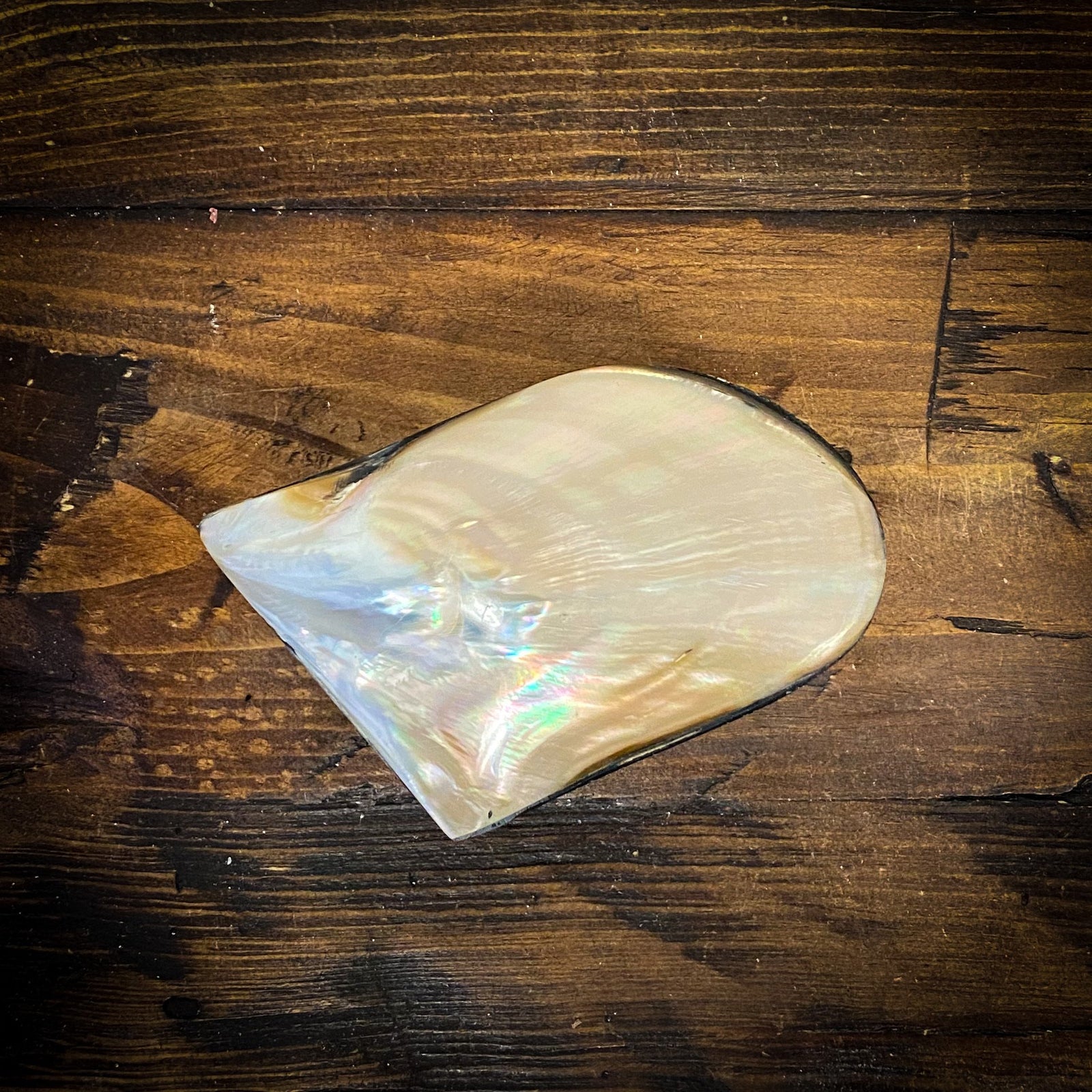 Mother of Pearl Shell Box (Small)