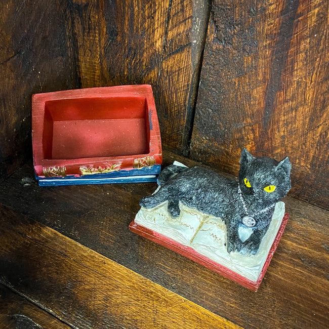 Black Cat Box (Red Trim)