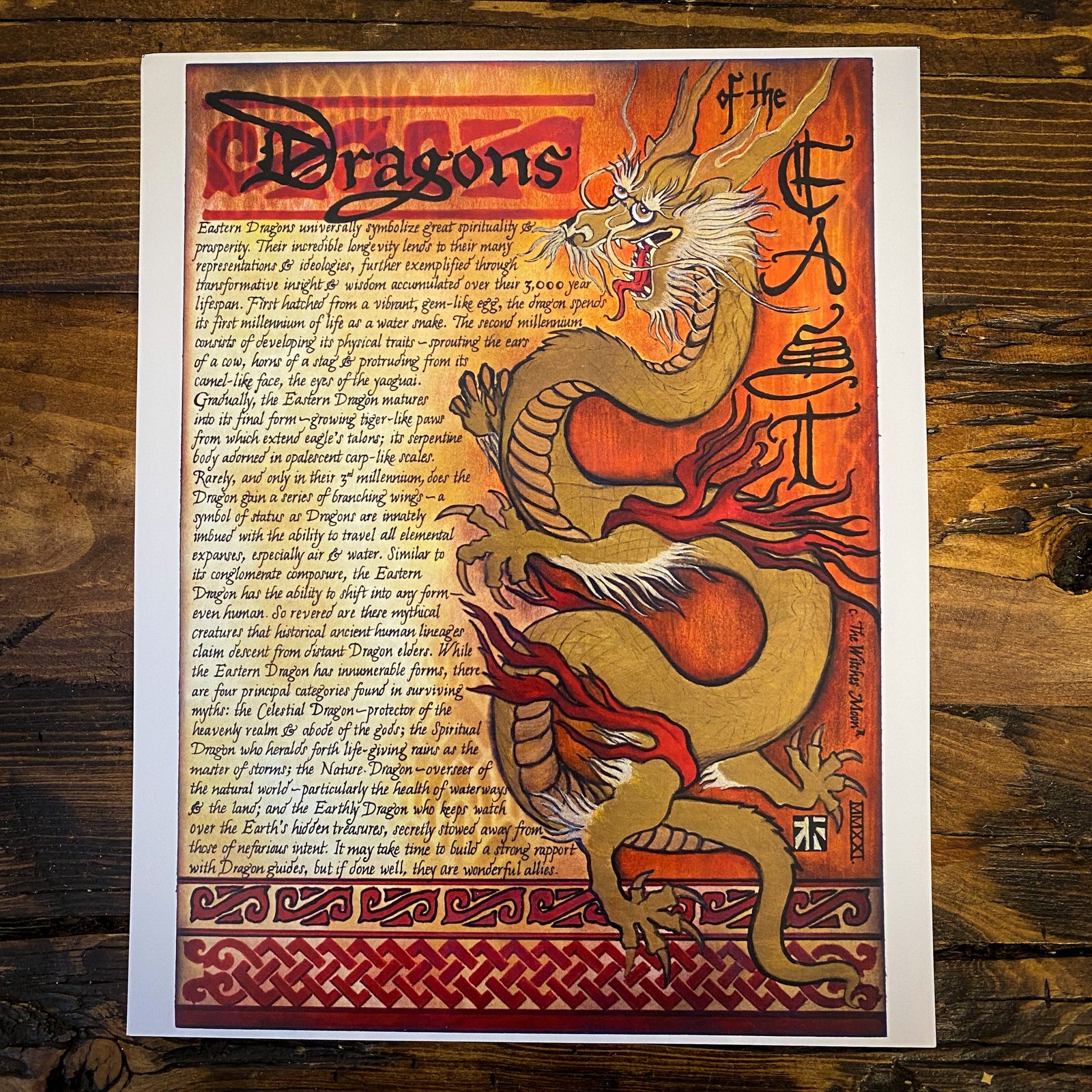 Dragons  Dragon pictures, Dragon artwork, Dragon art